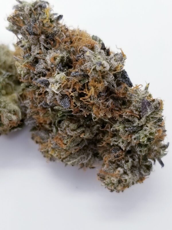 Buy Lemon Haze